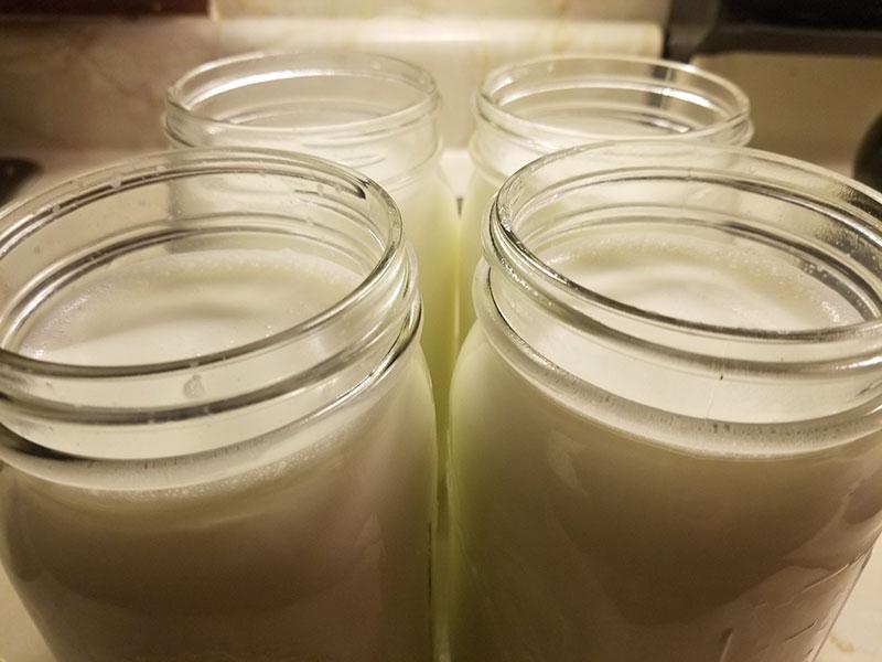Yogurt in jars from one gallon of milk. Easy, affordable, and delicious!